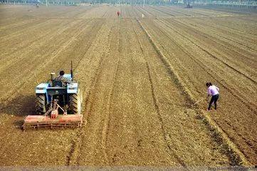 种地收益现状最新爆料,收益现状与未来展望